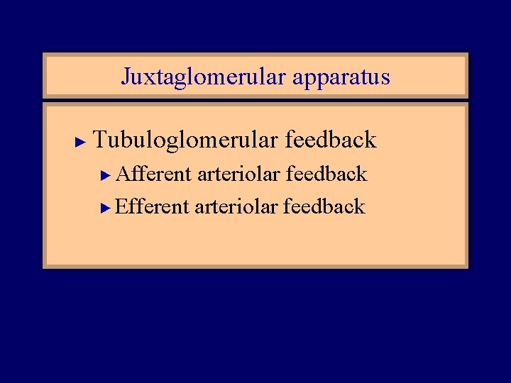 Juxtaglomerular apparatus ► Tubuloglomerular feedback Afferent arteriolar feedback ► Efferent arteriolar feedback ► 