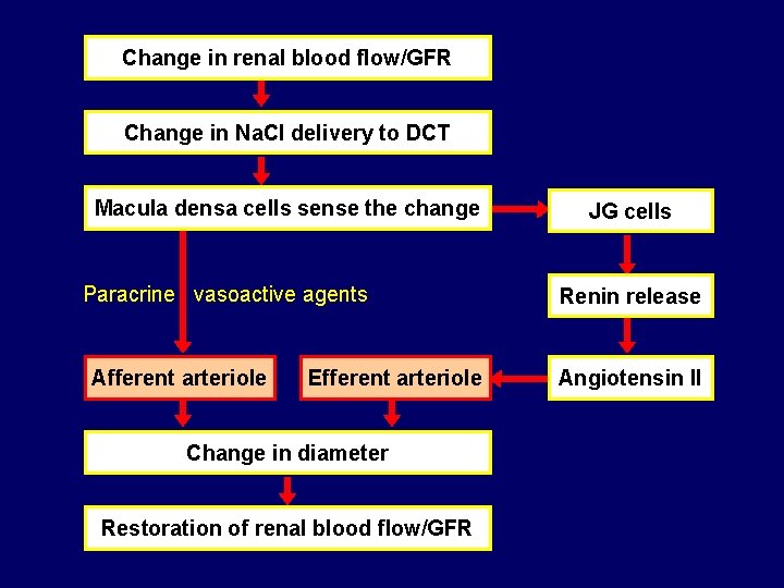 Change in renal blood flow/GFR Change in Na. Cl delivery to DCT Macula densa