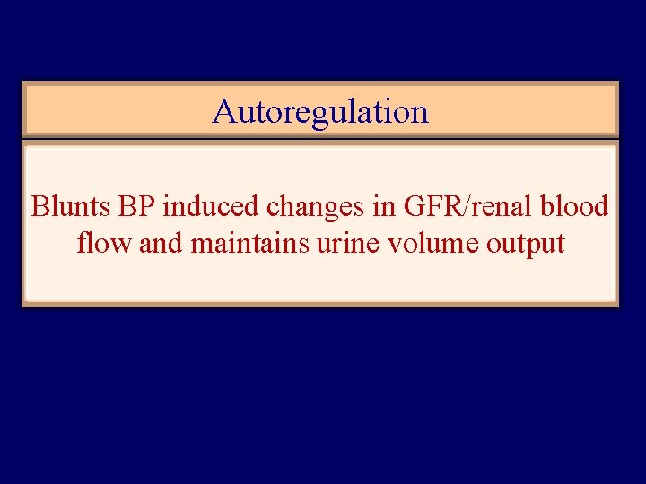 Autoregulation Blunts BP induced changes in GFR/renal blood flow and maintains urine volume output