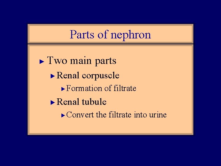 Parts of nephron ► Two main parts ► Renal corpuscle ► ► Formation of