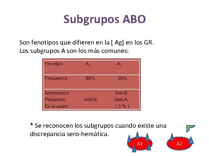 Subgrupos ABO Son fenotipos que difieren en la [ Ag] en los GR. Los