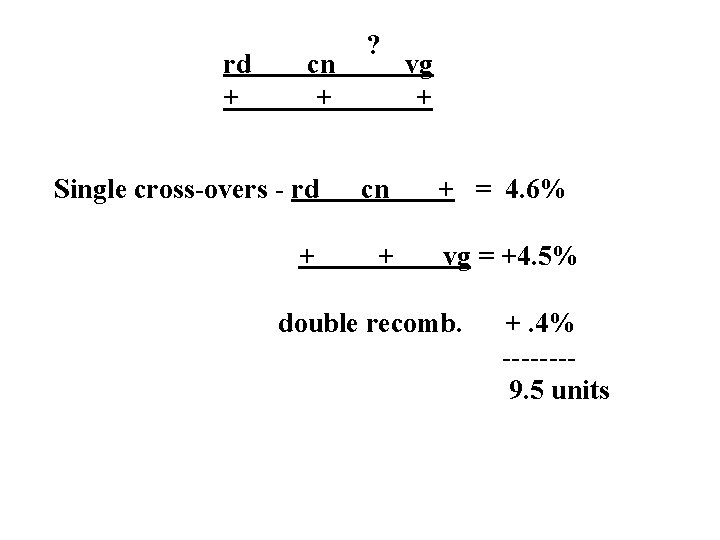 rd + cn + ? Single cross-overs - rd cn + + vg +