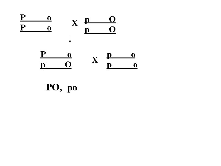 P P o o P p X p p o O PO, po O