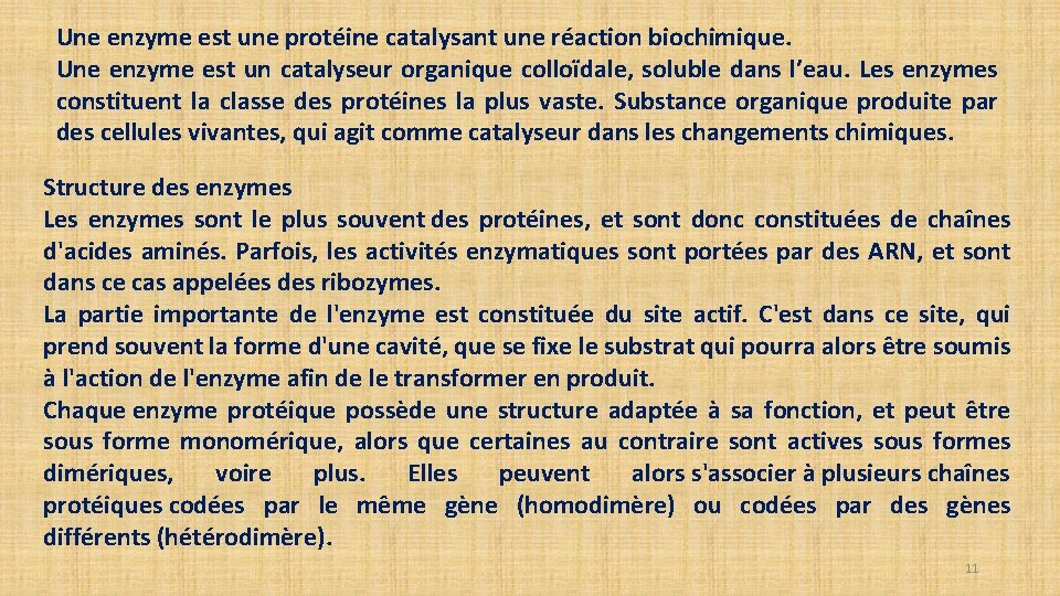 Une enzyme est une protéine catalysant une réaction biochimique. Une enzyme est un catalyseur Une enzyme est une protéine catalysant une réaction biochimique. Une enzyme est un catalyseur