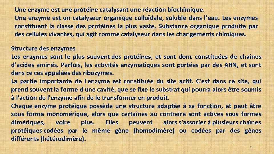 Une enzyme est une protéine catalysant une réaction biochimique. Une enzyme est un catalyseur