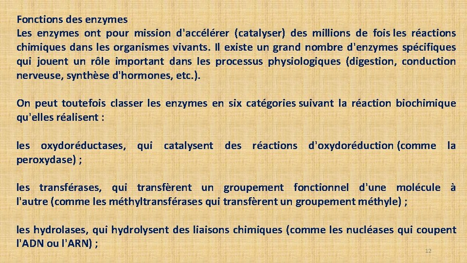 Fonctions des enzymes Les enzymes ont pour mission d'accélérer (catalyser) des millions de fois Fonctions des enzymes Les enzymes ont pour mission d'accélérer (catalyser) des millions de fois