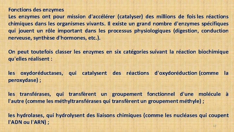 Fonctions des enzymes Les enzymes ont pour mission d'accélérer (catalyser) des millions de fois