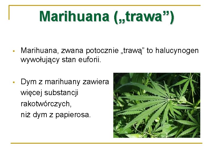 Marihuana („trawa”) § Marihuana, zwana potocznie „trawą” to halucynogen wywołujący stan euforii. § Dym