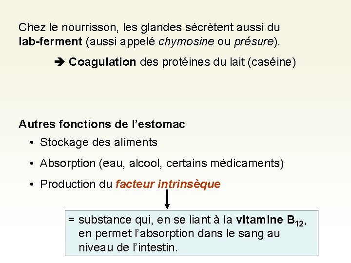 Chez le nourrisson, les glandes sécrètent aussi du lab-ferment (aussi appelé chymosine ou présure).