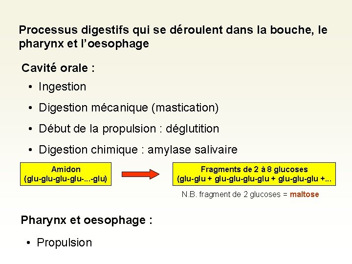 Processus digestifs qui se déroulent dans la bouche, le pharynx et l’oesophage Cavité orale