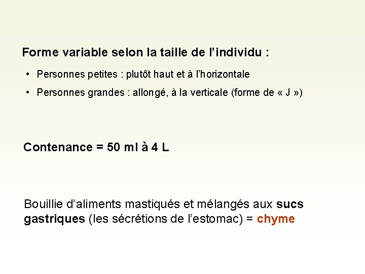 Forme variable selon la taille de l’individu : • Personnes petites : plutôt haut Forme variable selon la taille de l’individu : • Personnes petites : plutôt haut
