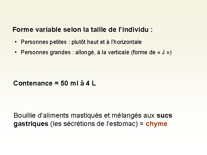 Forme variable selon la taille de l’individu : • Personnes petites : plutôt haut