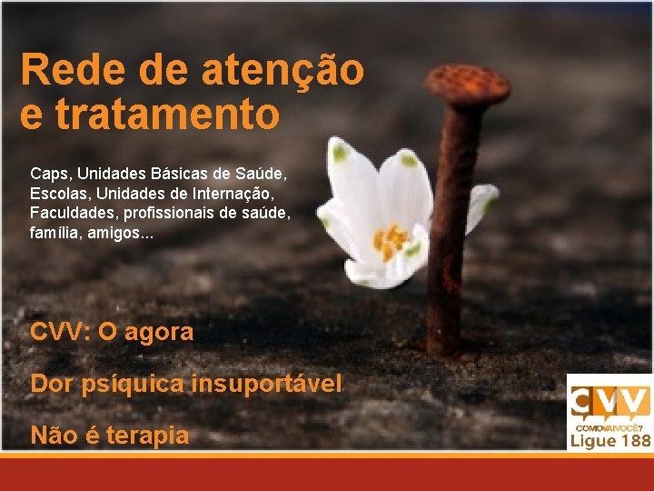 Rede de atenção e tratamento Caps, Unidades Básicas de Saúde, Escolas, Unidades de Internação,