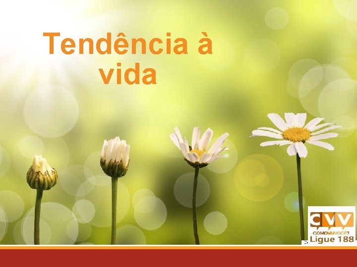 Tendência à vida 