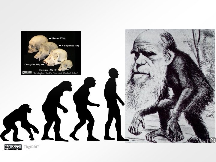 Christopher Walsh, Harvard Medical School Tkgd 2007 
