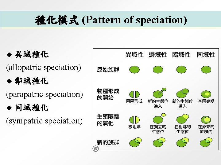 種化模式 (Pattern of speciation) u 異域種化 (allopatric speciation) u 鄰域種化 (parapatric speciation) u 同域種化