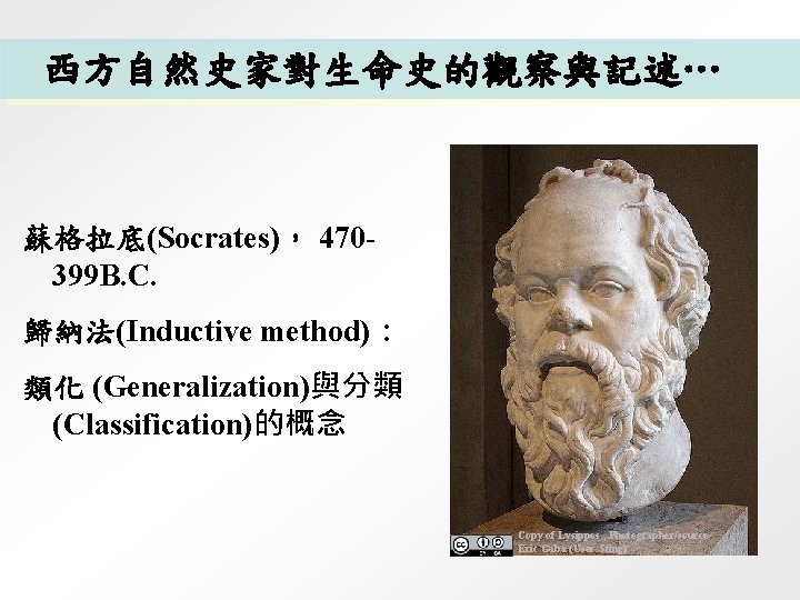 西方自然史家對生命史的觀察與記述… 蘇格拉底(Socrates)， 470399 B. C. 歸納法(Inductive method)： 類化 (Generalization)與分類 (Classification)的概念 Copy of Lysippos ,