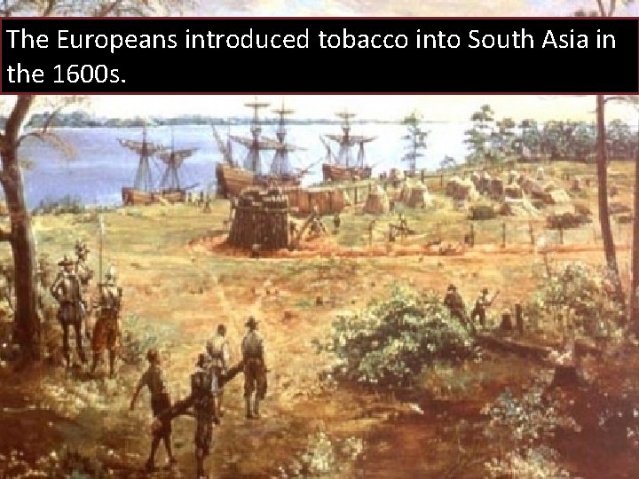 The Europeans introduced tobacco into South Asia in the 1600 s. 