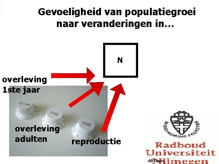 Gevoeligheid van populatiegroei naar veranderingen in… N overleving 1 ste jaar overleving adulten reproductie