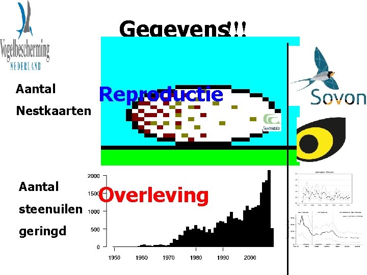 Gegevens!!! Aantal Nestkaarten Aantal steenuilen geringd Reproductie Overleving 