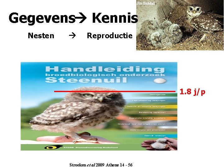 Jiří Bohdal Gegevens Kennis Nesten Reproductie 1. 8 j/p Stroeken et al 2009 Athene