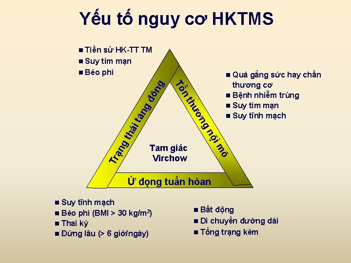 Yếu tố nguy cơ HKTMS sử HK-TT TM n Suy tim mạn n Béo