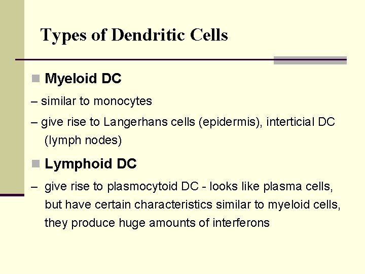 Types of Dendritic Cells n Myeloid DC – similar to monocytes – give rise