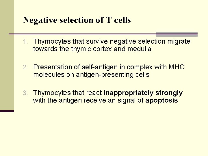 Negative selection of T cells 1. Thymocytes that survive negative selection migrate towards the