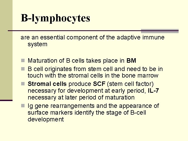 B-lymphocytes are an essential component of the adaptive immune system n Maturation of B