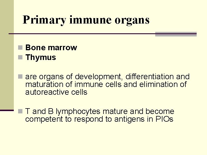 Primary immune organs n Bone marrow n Thymus n are organs of development, differentiation