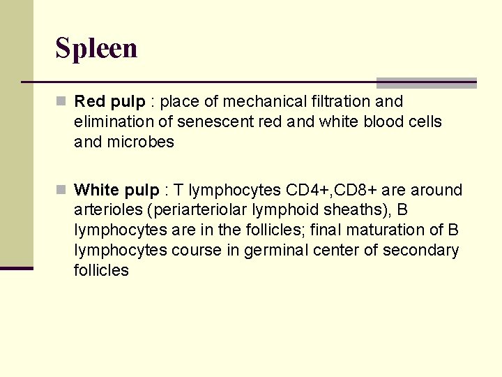 Spleen n Red pulp : place of mechanical filtration and elimination of senescent red