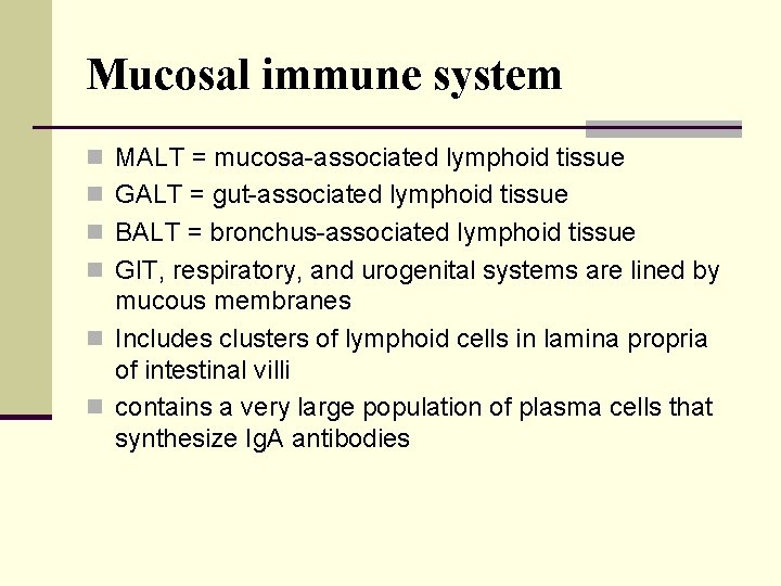 Mucosal immune system n MALT = mucosa-associated lymphoid tissue n GALT = gut-associated lymphoid