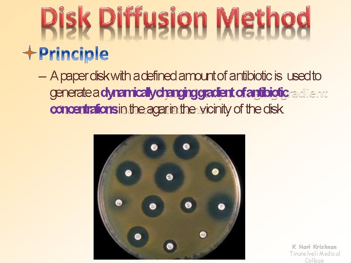 – A paper disk with adefined amount of antibiotic is used to generate adynamicallychanginggradient