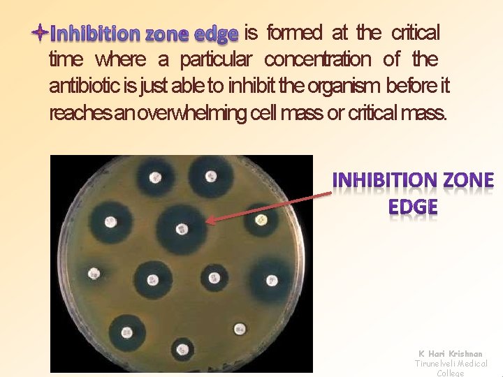 is formed at the critical time where a particular concentration of the antibiotic is