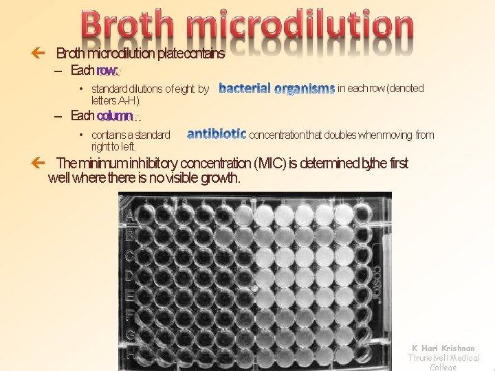  Broth microdilution platecontains – Eachrow: • standard dilutions of eight by letters A-H).