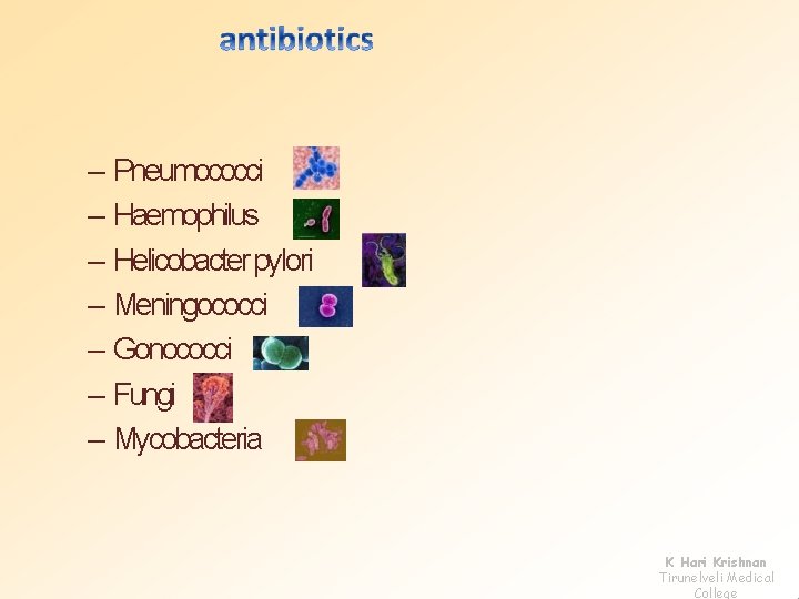 – Pneumococci – Haemophilus – Helicobacter pylori – Meningococci – Gonococci – Fungi –