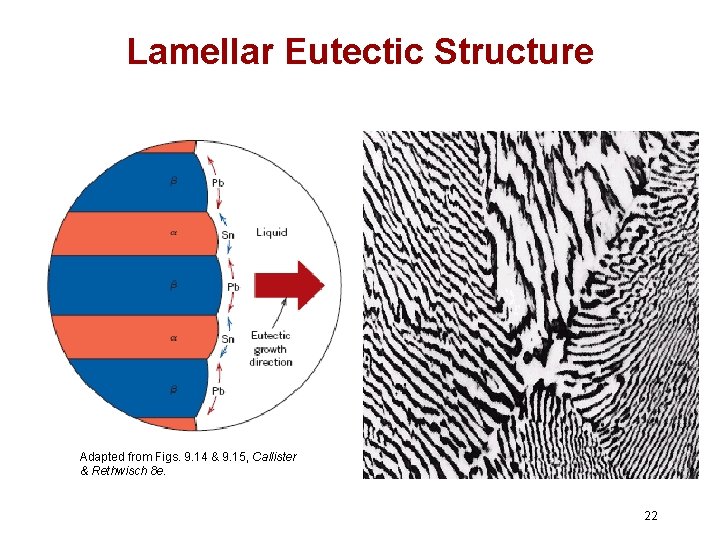 Lamellar Eutectic Structure Adapted from Figs. 9. 14 & 9. 15, Callister & Rethwisch