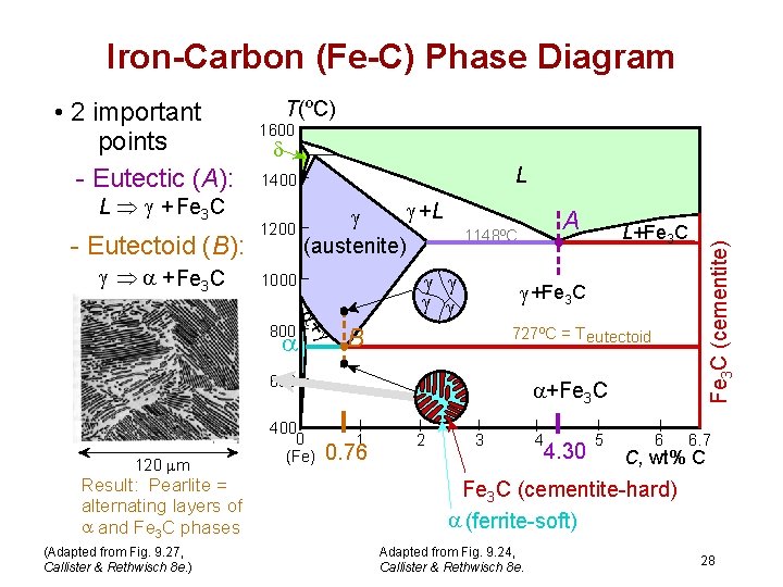 Iron-Carbon (Fe-C) Phase Diagram L Þ + Fe 3 C - Eutectoid (B): Þ