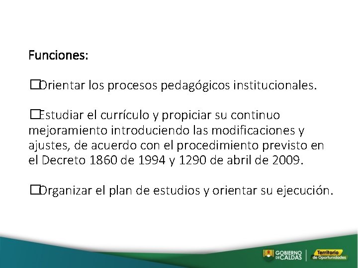 Funciones: � Orientar los procesos pedagógicos institucionales. � Estudiar el currículo y propiciar su