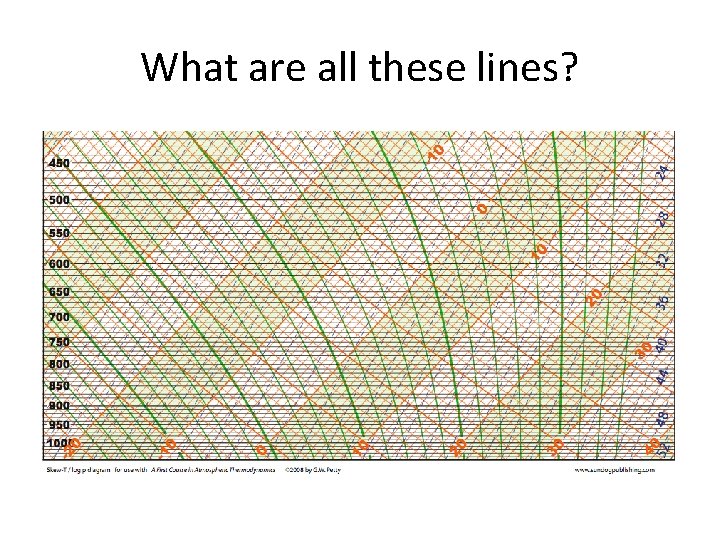 What are all these lines? What are all these lines?