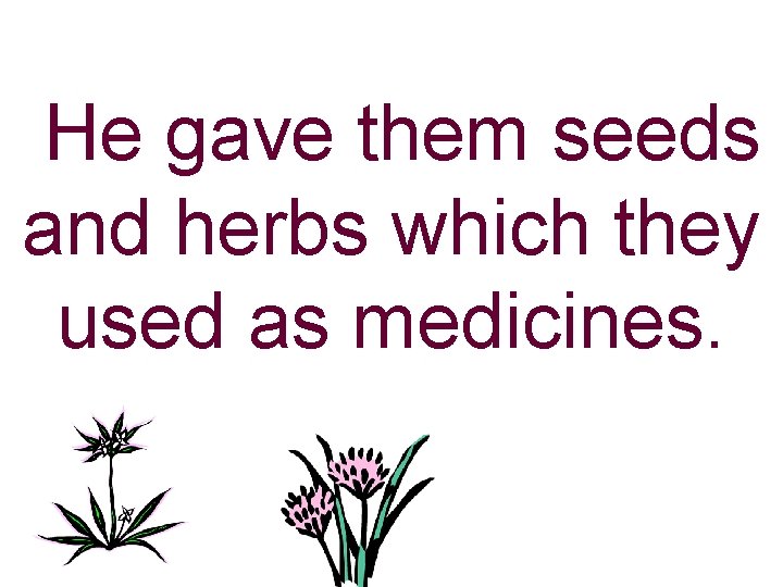 He gave them seeds and herbs which they used as medicines. 