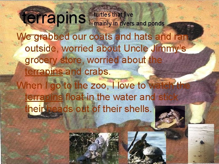 terrapins turtles that live mainly in rivers and ponds We grabbed our coats and