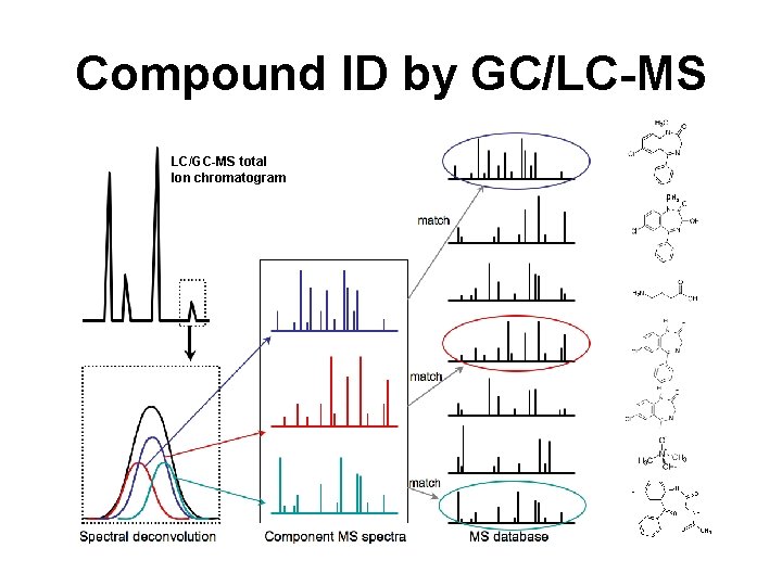 Compound ID by GC/LC-MS LC/GC-MS total Ion chromatogram CH 3 