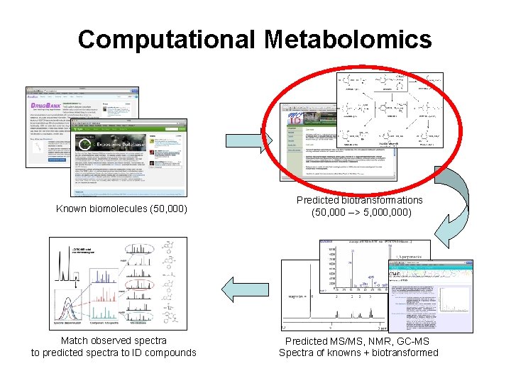Computational Metabolomics Known biomolecules (50, 000) Match observed spectra to predicted spectra to ID