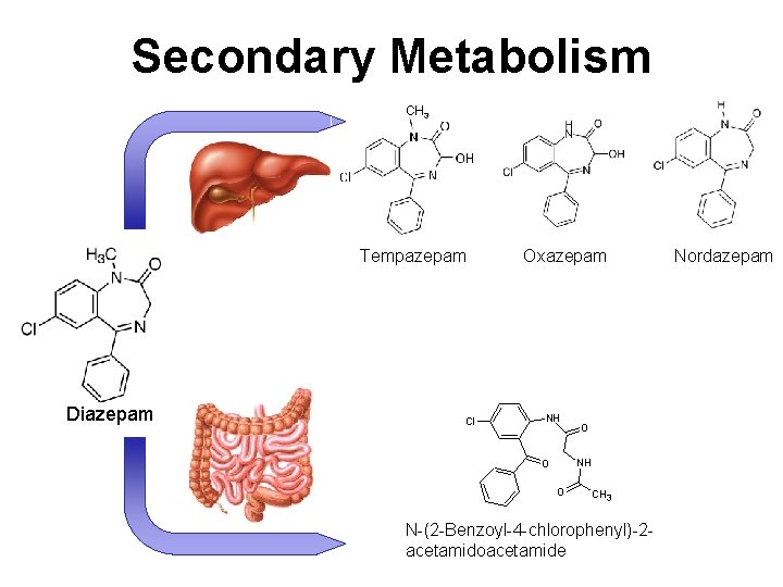Secondary Metabolism CH 3 Tempazepam Oxazepam Diazepam N-(2 -Benzoyl-4 -chlorophenyl)-2 acetamidoacetamide Nordazepam 