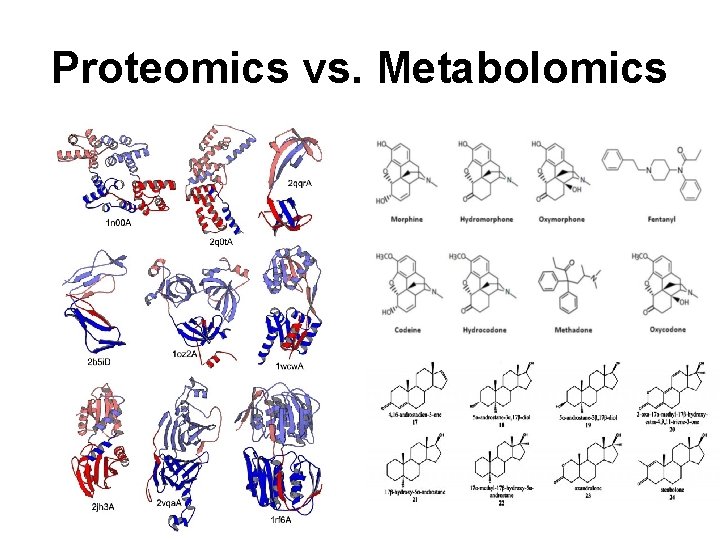 Proteomics vs. Metabolomics 