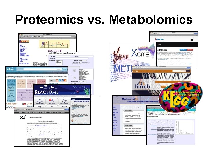 Proteomics vs. Metabolomics 