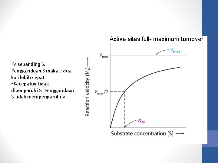 Active sites full- maximum turnover • V sebanding S. Penggandaan S maka v dua