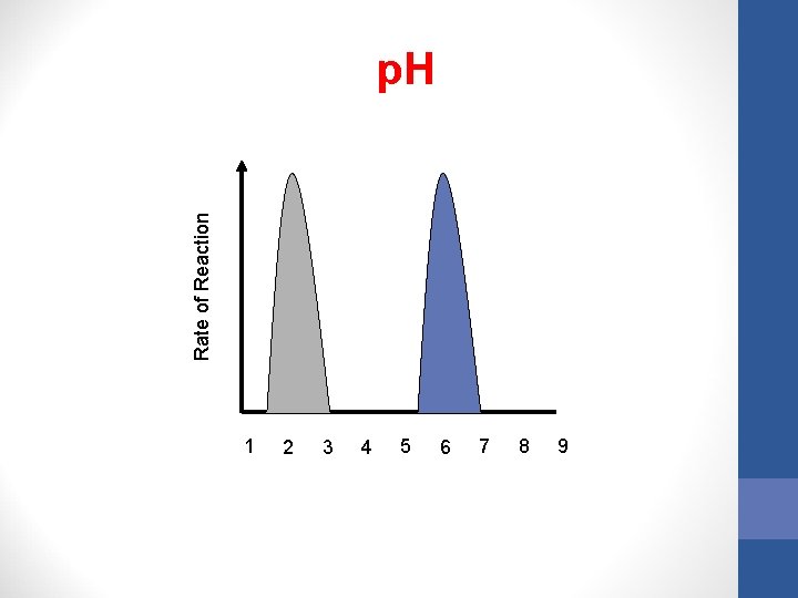 Rate of Reaction p. H 1 2 3 4 5 6 7 8 9