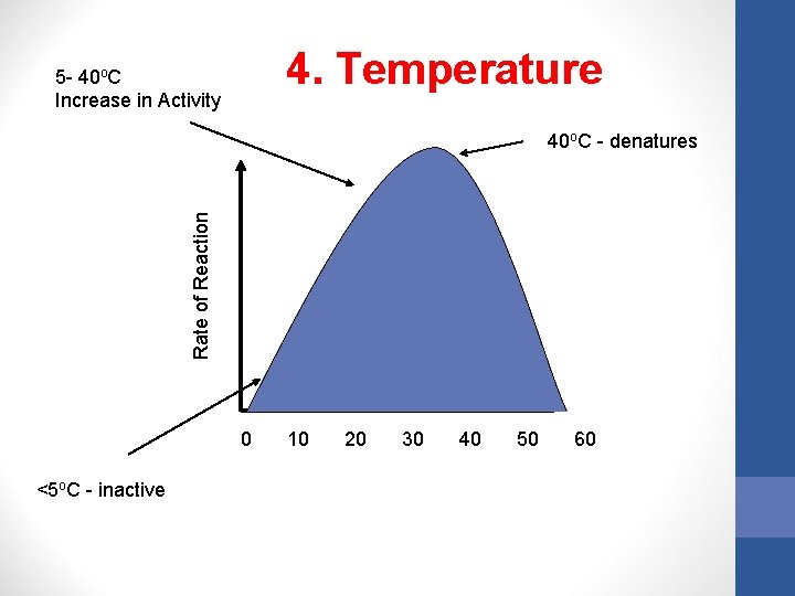 4. Temperature 5 - 40 o. C Increase in Activity Rate of Reaction 40